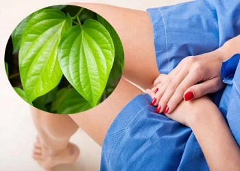 Mẹo chữa khí hư bằng lá trầu không tại nhà đơn giản mà hiệu quả