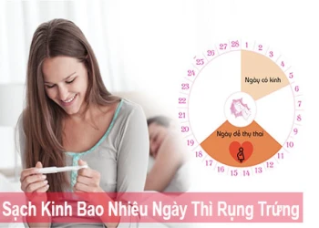 Tìm hiểu ngay rụng trứng bao nhiêu ngày thì có kinh?