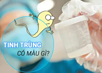 Tình trùng có màu gì? Mùi vị tinh trùng như thế nào?