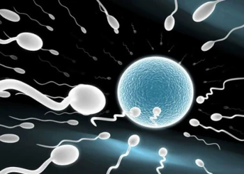 Cùng tìm hiểu tinh trùng gặp nước có chết không?