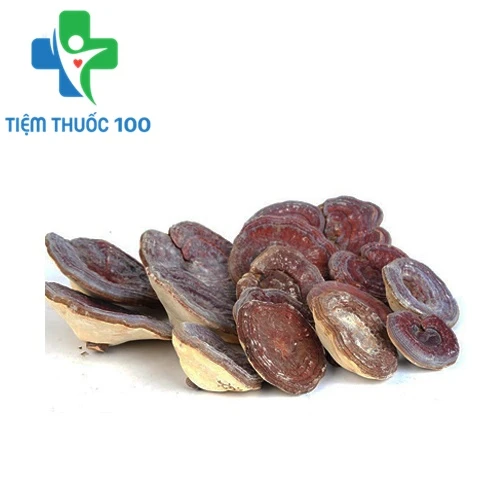 Nấm linh chi núi đá - Hỗ trợ bảo vệ sức khỏe hiệu quả của Hàn Quốc