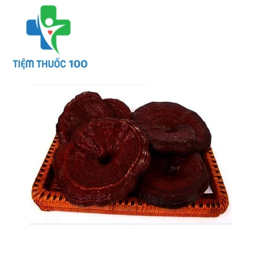 Nấm linh chi đỏ - Thực phẩm bảo vệ sức khỏe hiệu quả của Hàn Quốc