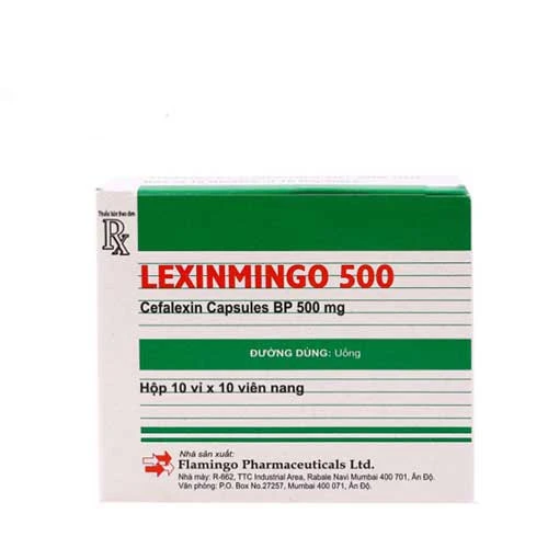 LEXINMINGO 500 - Thuốc chống nhiễm khuẩn của Ấn Độ