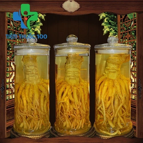 Rượu Đinh Lăng Tam Đa Phúc Lộc Thọ 19L hàng cao cấp, giá tốt nhất