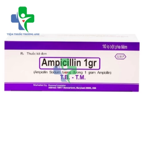 Ampicillin - Thuốc điều trị bệnh nhiễm khuẩn của Reyoung Pharma