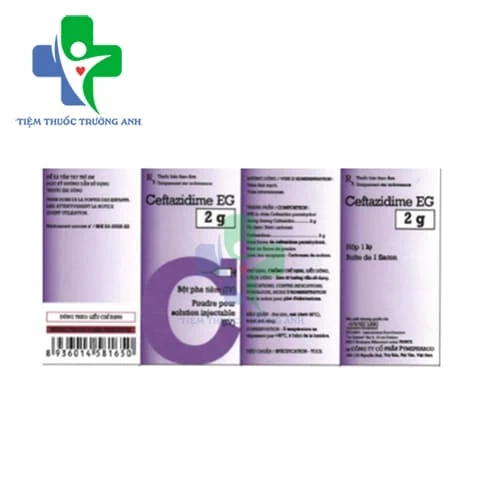 Ceftazidime EG 2g Pymepharco - Thuốc điều trị nhiễm khuẩn