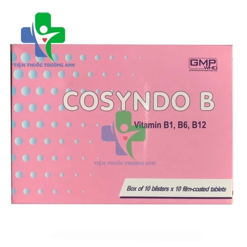 Cosyndo B Armephaco - Thuốc bổ sung vitamin nhóm B