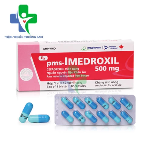 Pms-Imedroxil 500mg Imexpharm