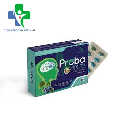 Proba Annao - Hỗ trợ tăng cường tuần hoàn máu não