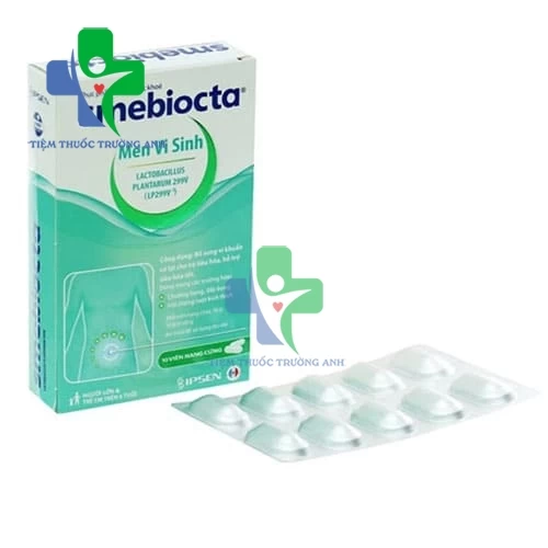 Men Smebiocta giúp tăng cường sức khỏe đường ruột 