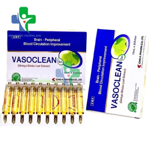 Vasoclean - Giúp điều trị rối loạn tuần hoàn não hiệu quả