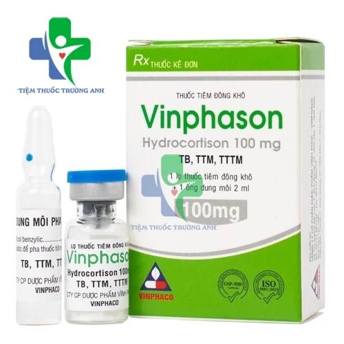 Vinphason 100mg - Thuốc điều trị các triệu chứng của bệnh tạo keo