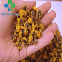 Hoa cúc vàng khô - Hỗ trợ thanh nhiệt giải độc vô cùng hiệu quả