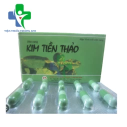 Hoàn phong thấp Hanapharm (hoàn cứng) - Giúp giảm đau nhức xương