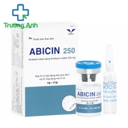 Abicin 250 Bidiphar - Chỉ định các trường hợp nhiễm khuẩn