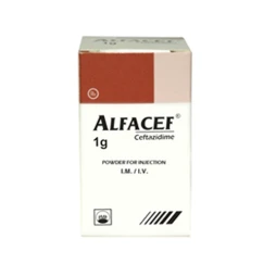 Alfacef - Thuốc điều trị nhiễm khuẩn của Pymepharco hiệu quả