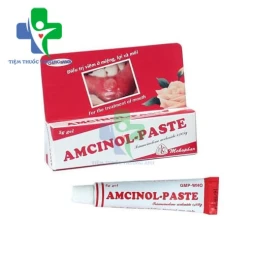 Amcinol-Paste 5g Mekophar - Thuốc điều trị viêm da