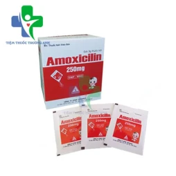 Amoxicilin 250mg Tipharco (bột) - Thuốc điều trị nhiễm khuẩn