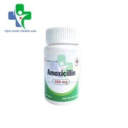 Amoxicillin 250mg Domesco (viên ngậm) - Thuốc điều trị nhiễm khuẩn