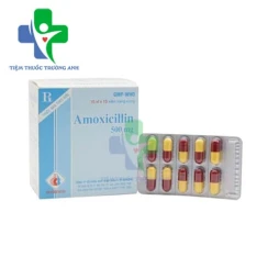 Amoxicillin 500mg Domesco - Thuốc điều trị nhiễm khuẩn