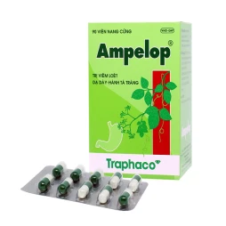 Hỗ Trợ Điều Trị Viêm Loét Dạ Dày Ampelop