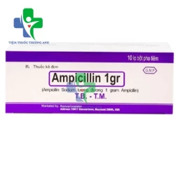 Ampicillin - Thuốc điều trị bệnh nhiễm khuẩn của Reyoung Pharma