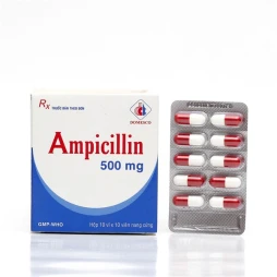 Ampicillin 500Mg 10 Vỉ x 10 Viên