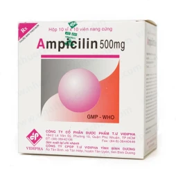 Ampicillin 500Mg