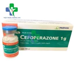 Cefoperazone 1g Imexpharm