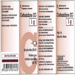 Ceftazidime EG 1g - Bột pha tiêm truyền điều trị nhiễm khuẩn hiệu quả