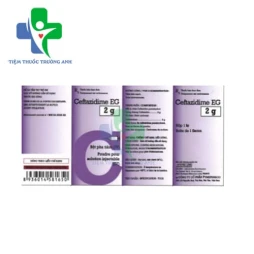 Ceftazidime EG 2g Pymepharco - Thuốc điều trị nhiễm khuẩn