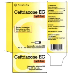 Ceftriaxon EG 1g/10ml - Thuốc điều trị nhiễm khuẩn hiệu quả