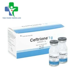 Ceftrione 1g Bidiphar - Thuốc điều trị nhiễm khuẩn hiệu quả