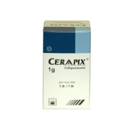 Ceraapix - Thuốc điều trị nhiễm khuẩn hiệu quả