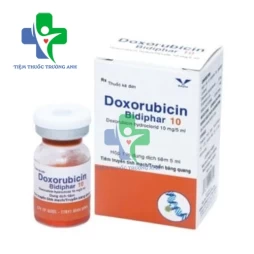 Doxorubicin bidiphar 10 - Điều trị các bệnh ung thư