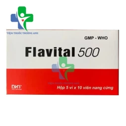 Flavital 500 - Giúp ổn định huyết áp, giảm mỡ máu hiệu quả 