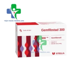 Gemfibstad 300mg Stellapharm - Điều trị chứng rối loạn lipid máu