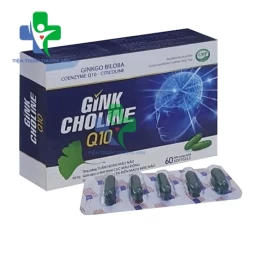 Gink Choline Q10 - Hỗ trợ hoạt huyết, tăng cường tuần hoàn máu não