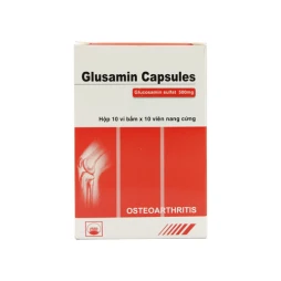 Glusamin 500 - Thuốc hỗ trợ phục hồi xương khớp hiệu quả