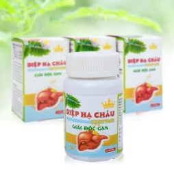 Thực Phẩm Chức Năng Giải Độc Gan Diệp Hạ Châu Kingphar 40 Viên