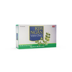 Kim ngân vạn ứng - Thuốc điều trị mụn nhọt, rôm sảy hiệu quả 