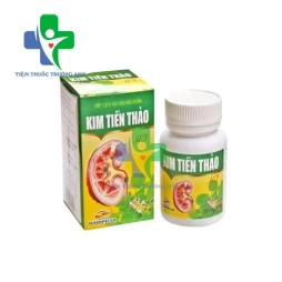 Kim tiền thảo 176mg Hoa Việt