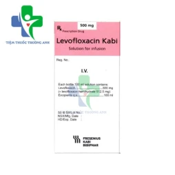 Levofloxacin Bidiphar 500mg/100ml - Thuốc điều trị nhiễm khuẩn