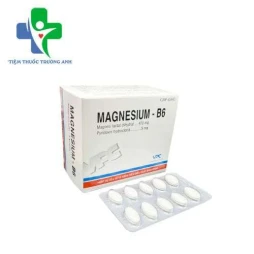 Magnesium - Vitamin B6 F.T Pharma - Điều trị các trường hợp thiếu magnesi