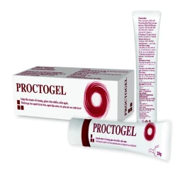 Proctogel - Gel bôi trĩ hiệu quả