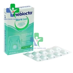 Men Smebiocta giúp tăng cường sức khỏe đường ruột 