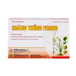 Viên Uống Tăng Cường Chức Năng Gan Thận Hoàng Thống Phong 30 Viên