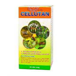 Viên Uống Giúp Thanh Nhiệt, Tán Ứ Cellutan Mediplantex 60 Viên
