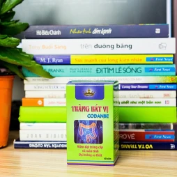 Viên Uống Hỗ Trợ Điều Trị Viêm Đại Tràng Tràng Bát Vị Kingphar 40 Viên