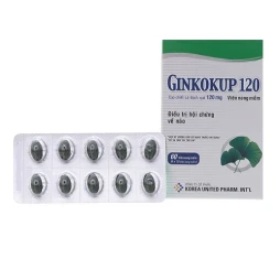Thuốc tăng cường tuần hoàn não Ginkokup 120mg